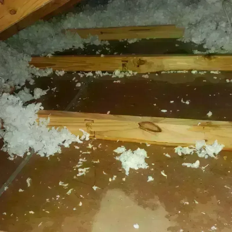 Attic Water Damage in Hayward, CA