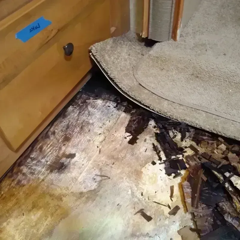 Best Wood Floor Water Damage Service in Hayward, CA